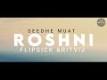 roshni sickflip u0026 ritviz ft seedhe maut lyrics