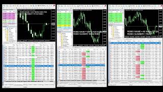 forexROBOtrading5 Live Stream