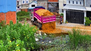 Start New Project Landfill Clear Flooded Area! Bulldozer Komat'Su D20P Push stone ,Truck 5Ton Unload