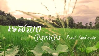 ទេសភាពស្រុកស្រែ /Rural landscape