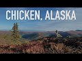 Chicken Ridge Trails Alaska - 40 Mile Caribou Herd Grazing Grounds-Scenery Footage