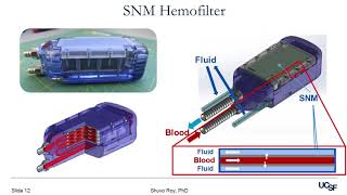 HOT TOPIC: Artificial Implantable Organs – Meeting the Global Demand for Dialysis Alternatives