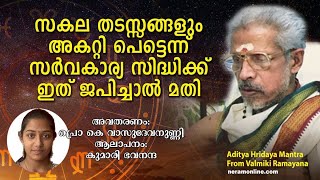 തടസ്സങ്ങൾ മാറ്റി സർവകാര്യസിദ്ധിക്ക് ഇത് ജപിക്കൂ  |  ആദിത്യഹൃദയം മന്ത്രം | Aditya Hrudayam Stotram