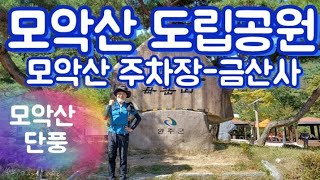 모악산 단풍 산행 등산 코스 / 금산사 미륵전 천년고찰