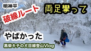 犬と登山 Vol.10 明神平（赤ゾレ山、国見山、水無山）