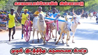 சின்னமாடு-காளையார்கோவில்-பந்தயம்_27-08-2023