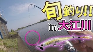 【バス釣り おかっぱり】今からが旬！この釣り方がスゴかった！！誰もができる巻きの釣り。in大江川BassFishing