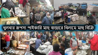 Khulna Rupsha Auction Fish Market | খুলনার রুপসা পাইকারি মাছ বাজার | নিলাম - ডাকে মাছ বিক্রি