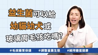 益生菌可以給幼貓幼犬吃嗎?