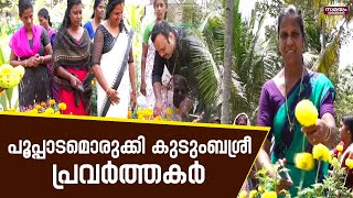 flower harvesting:പൂക്കളം ഒരുക്കാനുള്ള ചെണ്ടുമല്ലി കൃഷി ചെയ്ത് കുടുംബശ്രീ പ്രവർത്തകർ