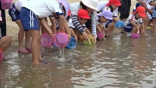 豊かな海を！ヒラメの稚魚2000匹を幼稚園児らが放流　香川・小豆島