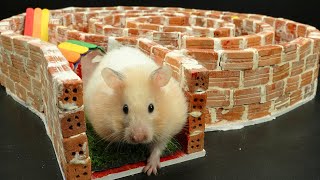DIY - How To Build Amazing Maze Labyrinth For Hamster With BRICKLAYING (Satisfying) - BRICK WALL