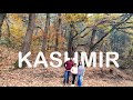 അങ്ങനെ ഞങ്ങൾ കശ്മീർ എത്തി 😍 || Our dream trip starts ❤️ || Kashmir Trip eps 1 || Kashmir Vlog ||