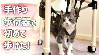 障がいを持つ猫が初めて歩いた日…飼い主の愛が起こした奇跡