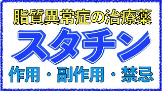 教科書をわかりやすく！「脂質異常症の治療とは？」スタチンの作用機序や副作用の仕組みを解説！