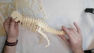 Сборка модели "Тиранозавр", арт. J014