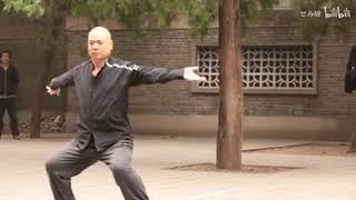 三皇炮锤拳 - 宋 Song Family San Huang Pao Chui Quan - Master 袁威 Yuan Wei