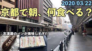 【春の京都ひとり旅⑨】京都の朝食、志津屋のパンが美味しすぎる【2020/03/22】