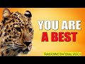 YOU ARE A BEAST  Best Motivational Speech  Tony Robbins Steve Harvey TD Jakes Jim Rohn