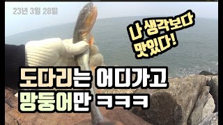 괜찮은 싸이즈 망둥어는 간간히 나오네!  (시화방조제낚시, 도다리낚시, 망둥어낚시)