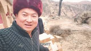 陕北二哥拉枣，一路跌跌撞撞，一路坚持   #陕北二哥 #陕西黄土高原农村视频