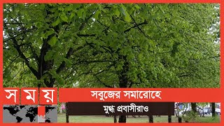 বিমর্ষ আয়ারল্যান্ডে বসন্তের আগমন | Ireland News | International News | Somoy TV