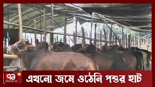 এখনো জমে ওঠেনি সাভারের গরুর হাটগুলো | News | Ekattor TV