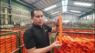 PELUANG USAHA 2022...JADILAH DISTRIBUTOR ATAU AGEN PRODUK KRUPUK MENTAH BAWANG , IKAN .1 KAB 1 AGEN.