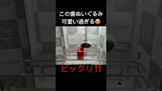 クレーンゲーム こんなの有り 可愛くてやばい歯 ぬいぐるみ クレゲ オンクレ 乱獲