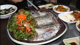 산오징어회,오징어통찜  끝내주는 소주안주 !!  / Steamed squid and raw squid