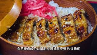 「鰻魚飯的文化：從江戶料理到夏日滋補佳品」