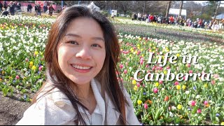 Life in Canberra | Floriade Festival 2022, Best Bar in Canberra?! 🌷🌸🥃