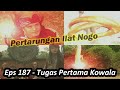 Akhirnya Lanjutan Ilat Nogo Tugas Berat Kowala Dari Prabu Angling Dharma - Alur Ep187