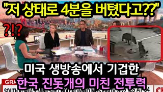 "저 상태로 4분을 버텼다고?" 미국 생방송에서 기겁한 한국 진돗개의 미친 전투력 (해외반응)