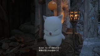 FF16のモーグリ初登場シーン