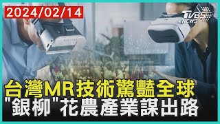 台灣MR技術驚豔全球 「銀柳」花農產業謀出路｜十點不一樣 20240214