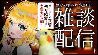 【はなのすみれことりBar🍸】15日はインコの日！新バーテン衣装をお披露目して重大な告知しちゃうぞ！！！ #09🦜【インコ系Vtuber/はなのすみれ】