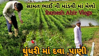 સામત ભાઈ ની માંડવી માં મેળો🕊️|| ઘૂંધરી માં દવા ને પાણી || હવે થાયકા 😌|| Village Life