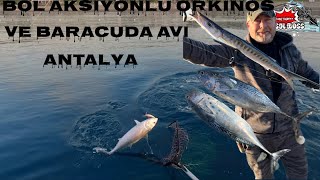 antalya,konyaaltı orkinos ve baracuda avı...!!!