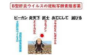 【1日1分/薬学生必見】B型肝炎ウイルスの逆転写酵素阻害薬はゴロでサクッと覚えましょう！