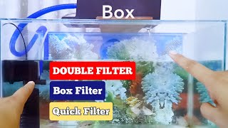 Double Filter Aquarium || Box filter dan quick filter aquarium #FilterAquarium