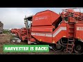 THE GRIMME POTATO HARVESTER IS BACK! - Fenland Farming Adventures