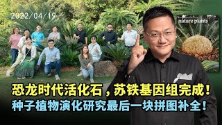 恐龙时代活化石，苏铁基因组完成！