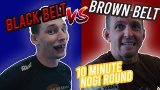 Brown Belt Taps Black Belt - Chaotic Match