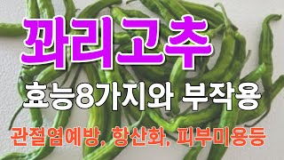 꽈리 고추 효능 8가지와 부작용  /  관절염에 좋은   / 피부미용에 좋은  / 혈관 건강에 좋은