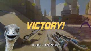 [Overwatch]ゴリラの日常2[PC版]