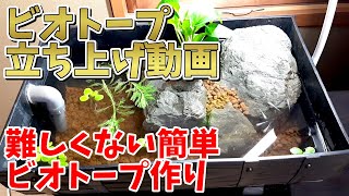 初心者向けの簡単ビオトープ立ち上げ動画です【Japanese Medaka】