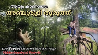 ഈ കാടിലൂടെ പോയാൽ കാണുന്നത് സ്വർഗം 🌍||Anjuruli Thuruth