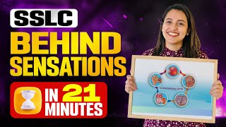 SSLC Biology | Chapter 3 | Behind Sensations | Full Chapter in One Video | Exam Winner