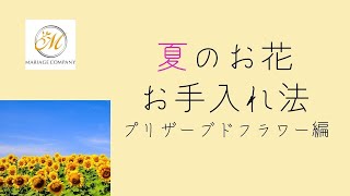 夏・お花のお手入れ法～プリザーブドフラワー編～